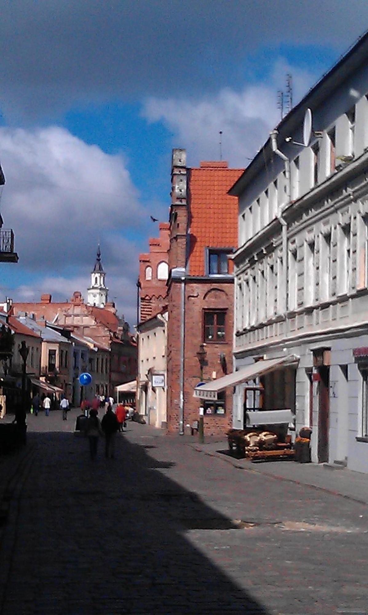 Hostel Lux Каунас Экстерьер фото